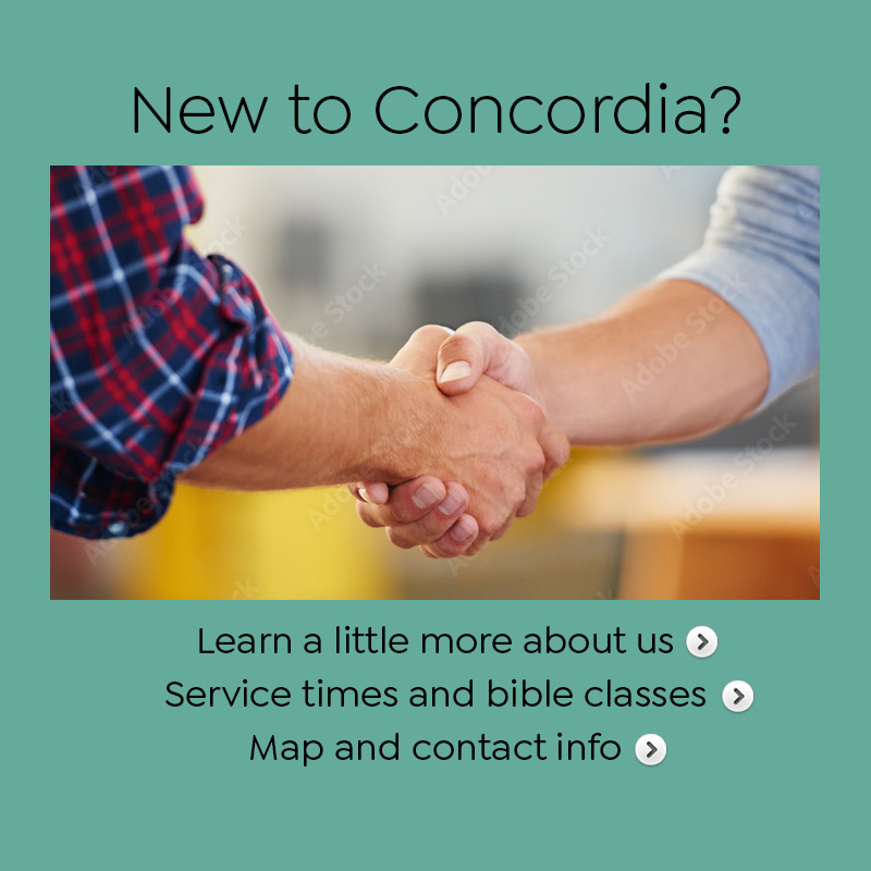 New to Concordia?